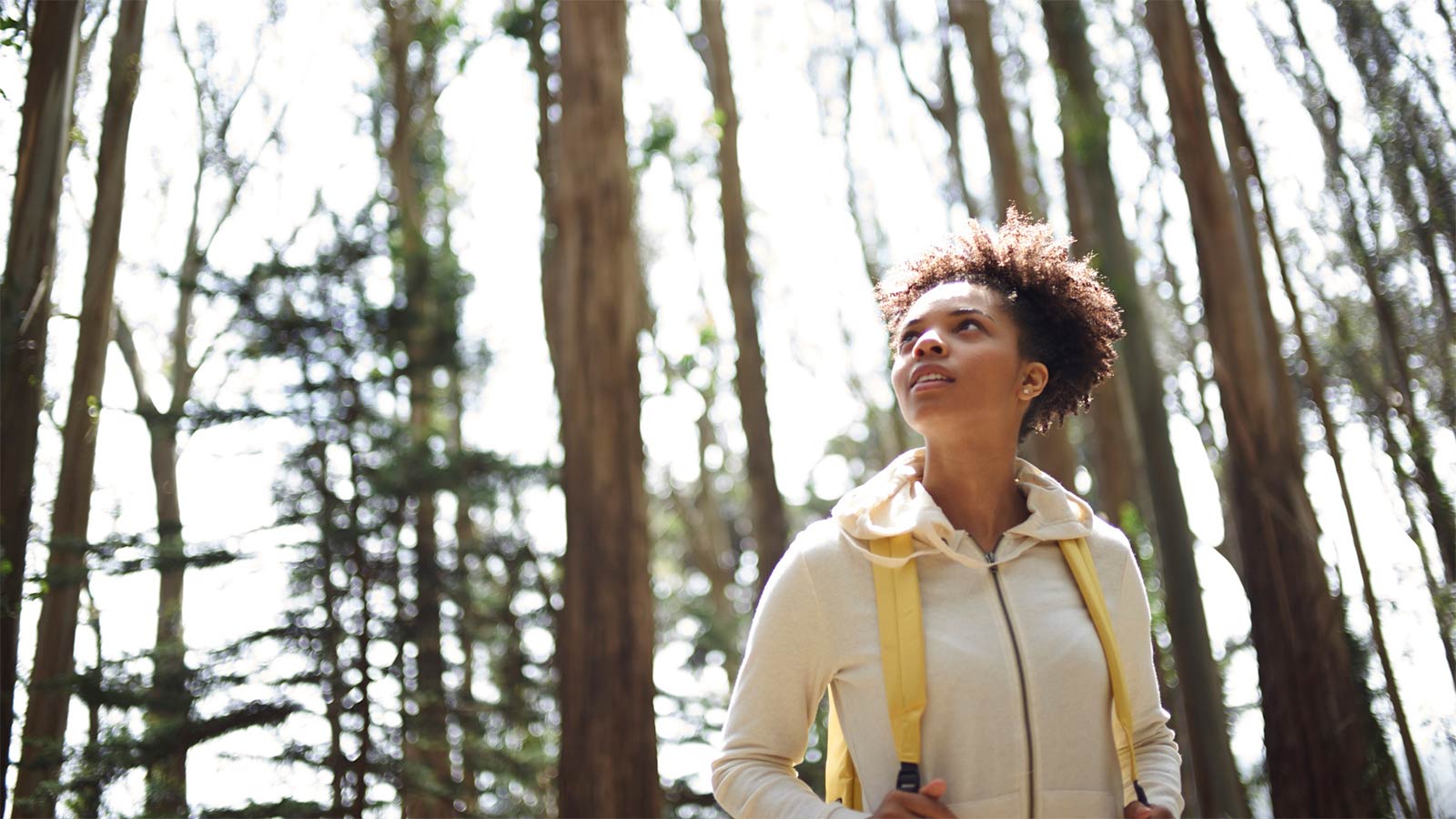 Visa Travel Services Visa Travel Credit Card Support Visa